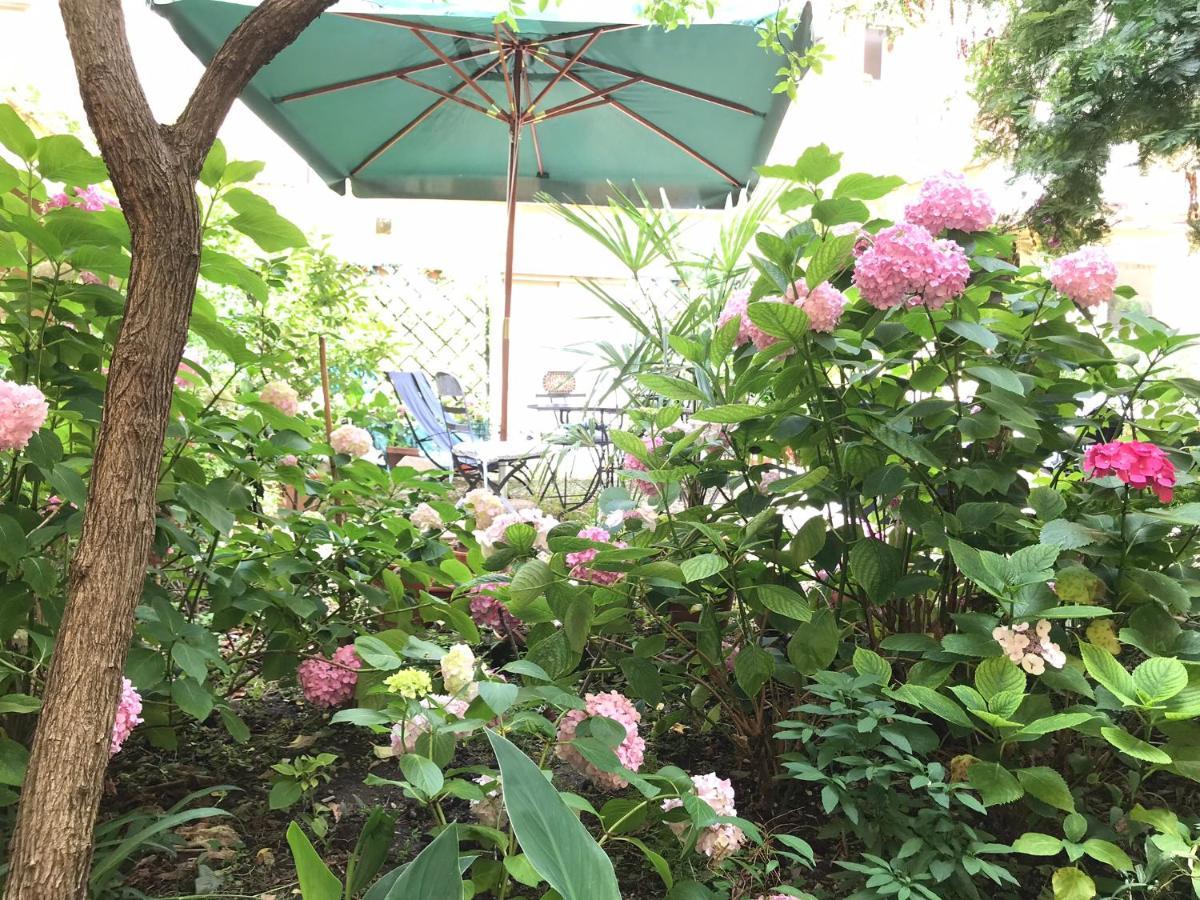 Cynthia'S Garden - Apartment With Private Garden In Santa Croce Floransa Dış mekan fotoğraf